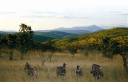 Ra Molopo Game Lodge