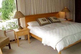 cape town holiday villa bellville