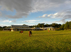 Drakensberg Mountain Retreat - Vergezient Lodge