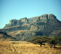 Kwaggashoek Game Ranch