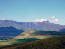 The Berghouse and Cottages