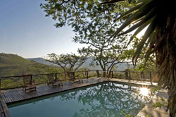 Three Trees at Spioenkop