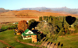 Tower of Pizza Lodge