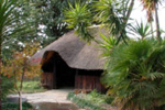 Die Groen Koei Guesthouse 
