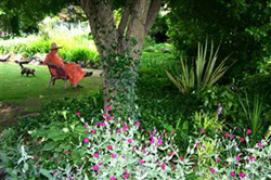 Aan't Kloof Bed and Breakfast