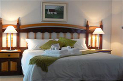 Van Den Bergs Guesthouse