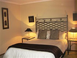 A Rose on Deane Bloemfontein