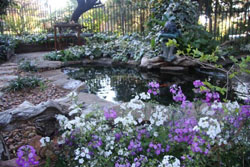 Jedidja Bed & Breakfast