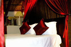 Lala Dene Lodge Bloemfontein