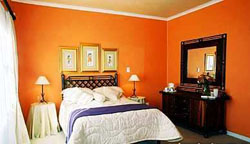 Primavera Bloemfontein