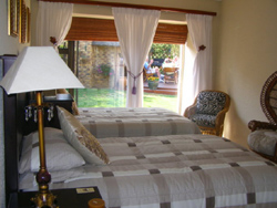 Avon Road Guesthouse and Tours