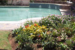 Kuse Khaya Guesthouse