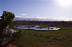 Bonnievale River Lodge