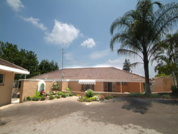 Big Five Bed and Breakfast  