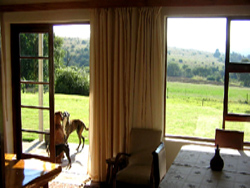 Cameron's Farm Cottage