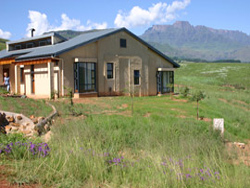 Zebra Crossing Guest House
