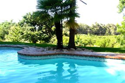 Olifantsrus Guest House