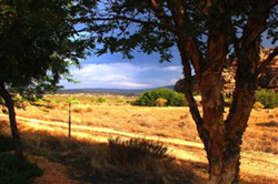 Laughenis Guest Farm