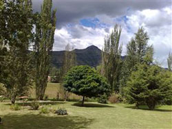 Avante Self Catering