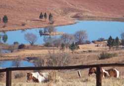 Bokpoort Horseback Holiday Farm