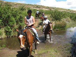 Bokpoort Horseback Holiday Farm