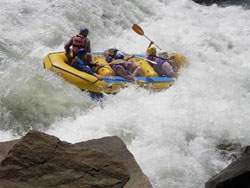 Eddies Self Catering