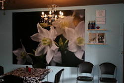 Kalm: A Colourful Place To Stay