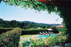Constantia Lodge