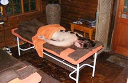 Dolphin Whisper Guesthouse