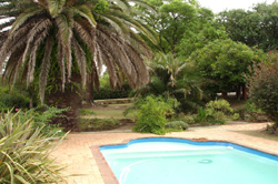 Ashtonville Terraces Guesthouse