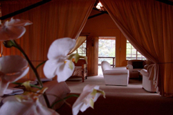 Blue Haze Country Lodge