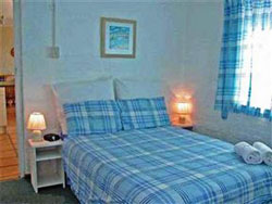 Disa Mountainside D07