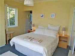 Disa Mountainside D13