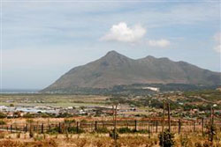 The Vines Self Catering