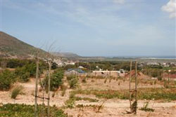 The Vines Self Catering