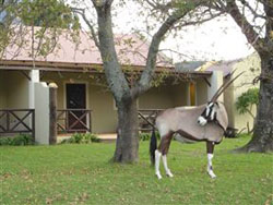 Franschhoek Country Cottages