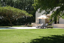 Lavande De Franschhoek