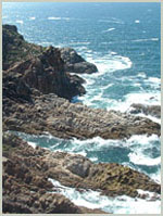 George guesthouses
