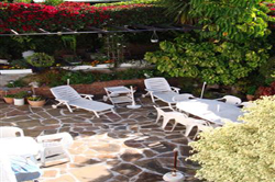 Above the Waterfront