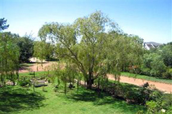 Three Willows Guest House