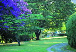 Blue Mountain Luxury Lodge