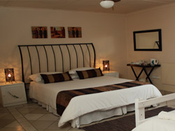 The Potting Shed Guest House