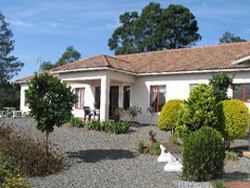 Hilton Bed n Breakfast