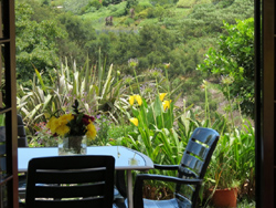 Hilton Bed n Breakfast