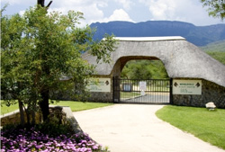 Moholoholo Mountain View Camp