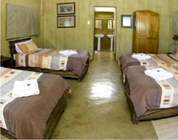 Moholoholo Mountain View Camp
