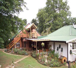 40 Fraser St. B & B
