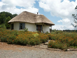 Fiddlewood Guest Farm