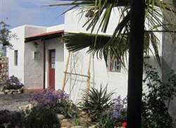 Artist Retreat Bed and Breakfast