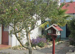 Artist Retreat Bed and Breakfast